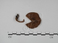 登錄號:F0023044藏品圖，第3張