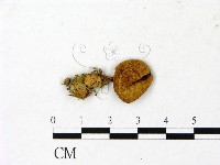 登錄號:F0023045藏品圖，第1張