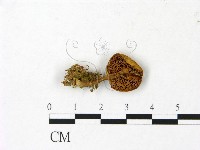 登錄號:F0023045藏品圖，第3張