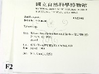 登錄號:F0023046藏品圖，第2張