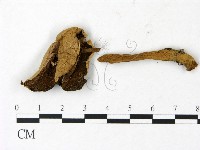 登錄號:F0023046藏品圖，第3張