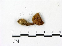 登錄號:F0023047藏品圖，第1張