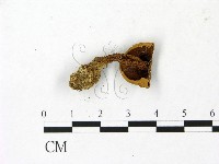 登錄號:F0023047藏品圖，第3張
