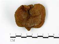 登錄號:F0023048藏品圖，第1張
