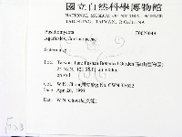 盔孢傘屬藏品圖，第2張