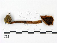 登錄號:F0023050藏品圖，第3張