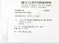 登錄號:F0023051藏品圖，第2張