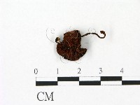 登錄號:F0023051藏品圖，第3張