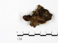 登錄號:F0023053藏品圖，第1張