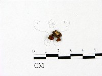 登錄號:F0023054藏品圖，第1張