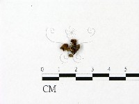 登錄號:F0023054藏品圖，第3張