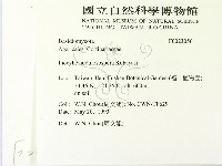 登錄號:F0023056藏品圖，第2張