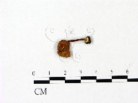 登錄號:F0023060藏品圖，第1張