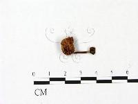 登錄號:F0023060藏品圖，第3張
