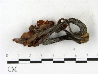 登錄號:F0023061藏品圖，第3張