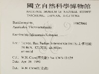登錄號:F0023066藏品圖，第2張