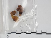 登錄號:F0023066藏品圖，第1張