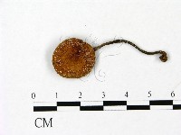 登錄號:F0023070藏品圖，第1張