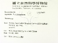 登錄號:F0023072藏品圖，第2張