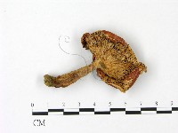 登錄號:F0023073藏品圖，第3張