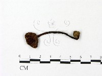 登錄號:F0023074藏品圖，第1張