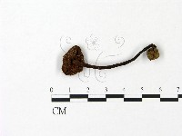 登錄號:F0023074藏品圖，第3張