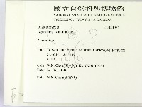 鵝膏屬藏品圖，第2張