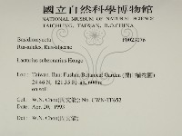 登錄號:F0023076藏品圖，第2張