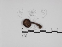 登錄號:F0023076藏品圖，第3張