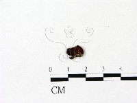 登錄號:F0023077藏品圖，第1張