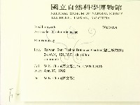 小皮傘屬藏品圖，第2張