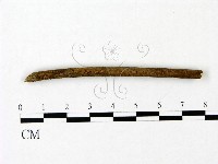 登錄號:F0023081藏品圖，第1張