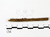 登錄號:F0023081藏品圖，第3張