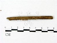 登錄號:F0023081藏品圖，第4張