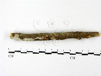登錄號:F0023082藏品圖，第3張