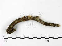 登錄號:F0023083藏品圖，第1張
