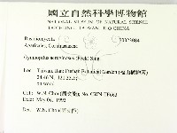 登錄號:F0023084藏品圖，第2張