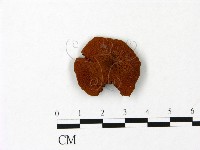登錄號:F0023084藏品圖，第1張