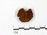 登錄號:F0023084藏品圖，第3張