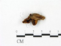 登錄號:F0023086藏品圖，第3張