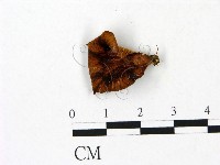 登錄號:F0023088藏品圖，第1張