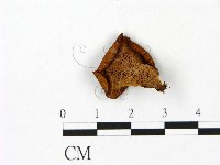 登錄號:F0023088藏品圖，第3張