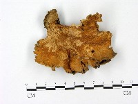 登錄號:F0023090藏品圖，第3張