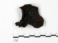 登錄號:F0023091藏品圖，第1張