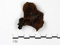 登錄號:F0023091藏品圖，第3張