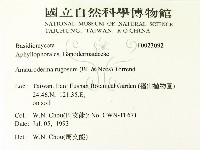 登錄號:F0023092藏品圖，第2張