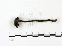 登錄號:F0023092藏品圖，第1張