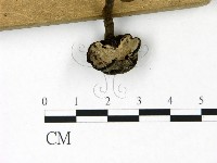 登錄號:F0023092藏品圖，第3張