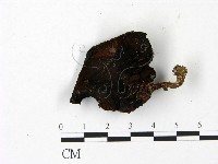 登錄號:F0023093藏品圖，第3張