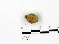 登錄號:F0023094藏品圖，第1張